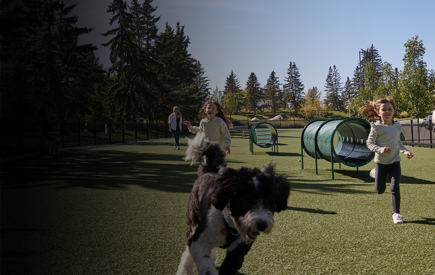 Dogpark